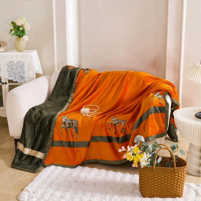 91家纺网 家纺一手货源 找家纺 （总）小鱼儿家纺 2025新款直播爆款AB版双层云貂绒毛毯法莱绒休闲盖毯牛奶绒沙发毯拉舍尔午睡毯空调毯子轻奢风绒毯批发一件代发