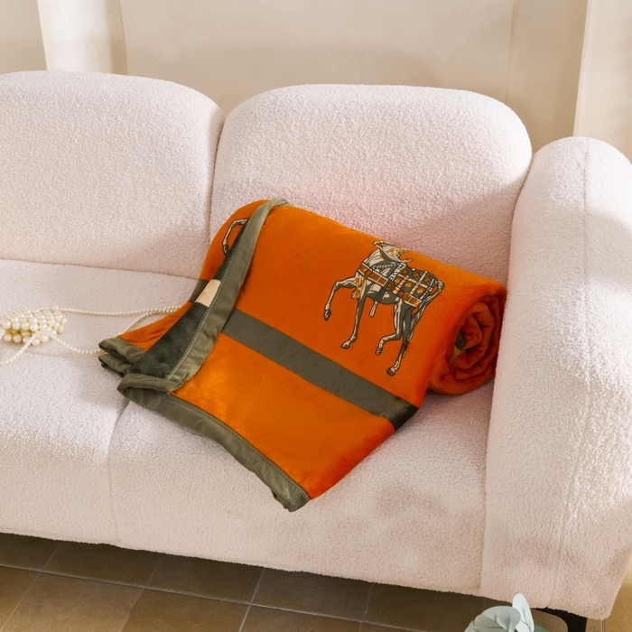 91家纺网 家纺一手货源 找家纺 （总）小鱼儿家纺 2025新款直播爆款AB版双层云貂绒毛毯法莱绒休闲盖毯牛奶绒沙发毯拉舍尔午睡毯空调毯子轻奢风绒毯批发一件代发