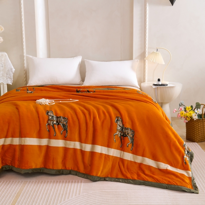 91家纺网 家纺一手货源 找家纺 （总）小鱼儿家纺 2025新款直播爆款AB版双层云貂绒毛毯法莱绒休闲盖毯牛奶绒沙发毯拉舍尔午睡毯空调毯子轻奢风绒毯批发一件代发