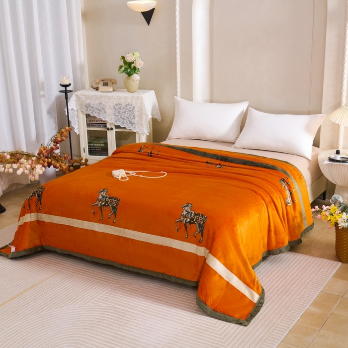 91家纺网 家纺一手货源 找家纺 （总）小鱼儿家纺 2025新款直播爆款AB版双层云貂绒毛毯法莱绒休闲盖毯牛奶绒沙发毯拉舍尔午睡毯空调毯子轻奢风绒毯批发一件代发