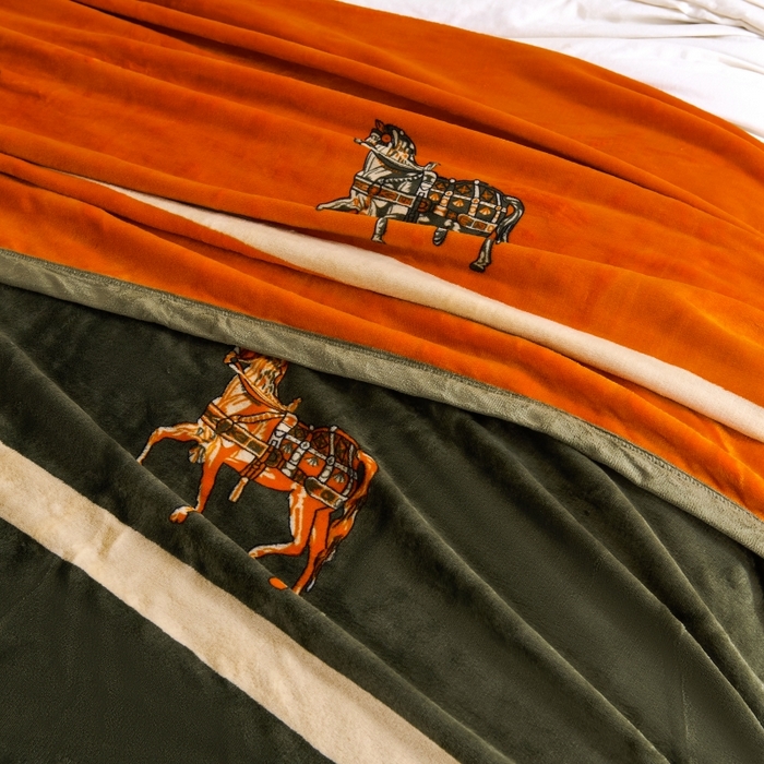 91家纺网 家纺一手货源 找家纺 （总）小鱼儿家纺 2025新款直播爆款AB版双层云貂绒毛毯法莱绒休闲盖毯牛奶绒沙发毯拉舍尔午睡毯空调毯子轻奢风绒毯批发一件代发