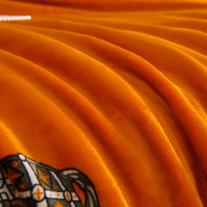 91家纺网 家纺一手货源 找家纺 （总）小鱼儿家纺 2025新款直播爆款AB版双层云貂绒毛毯法莱绒休闲盖毯牛奶绒沙发毯拉舍尔午睡毯空调毯子轻奢风绒毯批发一件代发