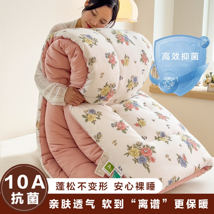 91家纺网 家纺一手货源 找家纺 （总）宝士康家纺 2025新品10A抗菌双层纱冬被被子被芯