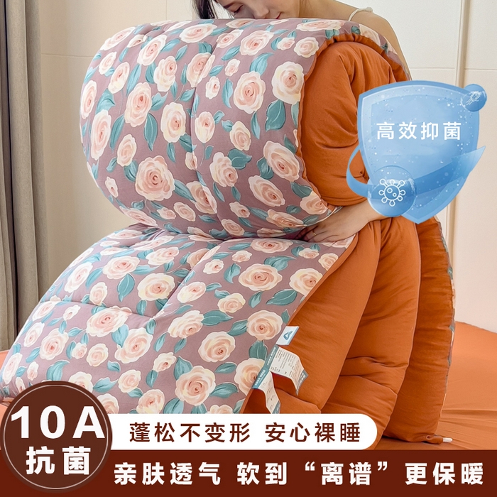 91家纺网 家纺一手货源 找家纺 （总）宝士康家纺 2025新品10A抗菌双层纱冬被被子被芯
