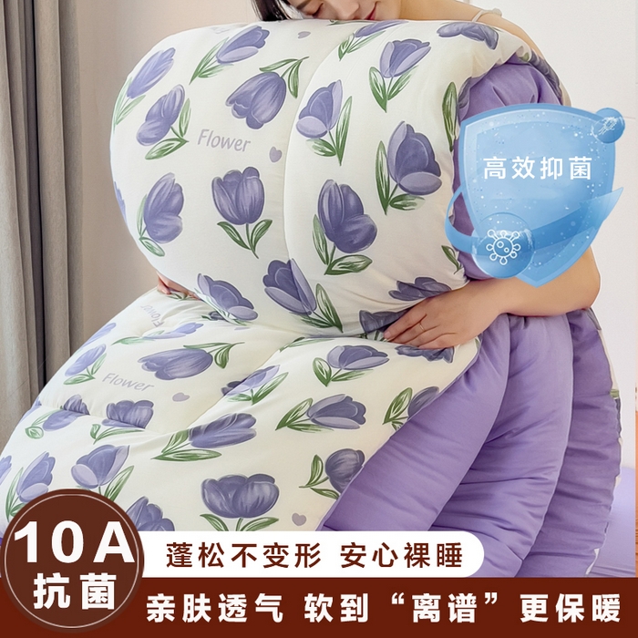 91家纺网 家纺一手货源 找家纺 （总）宝士康家纺 2025新品10A抗菌双层纱冬被被子被芯