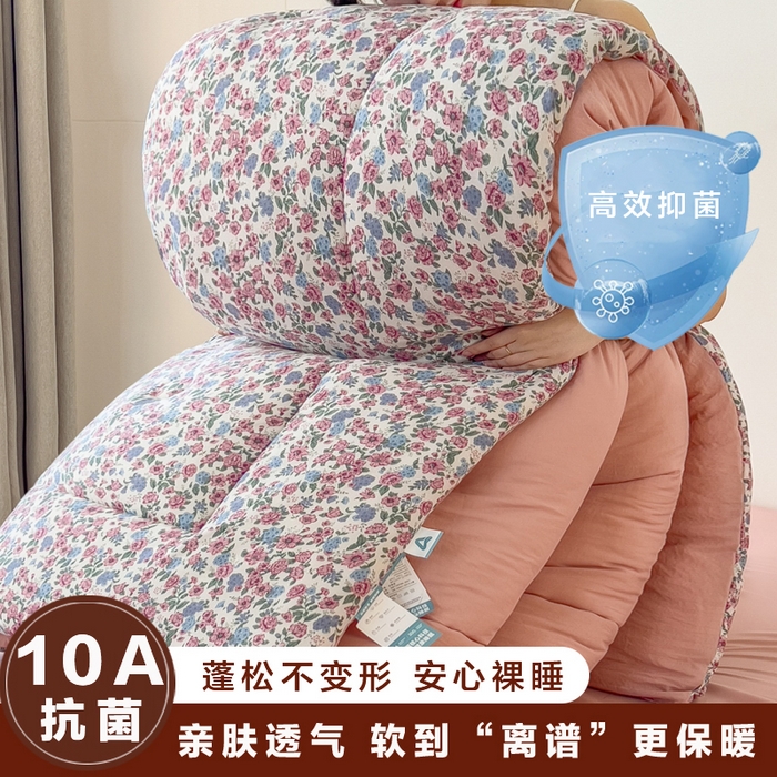 （总）宝士康家纺 2025新品10A抗菌双层纱冬被被子被芯