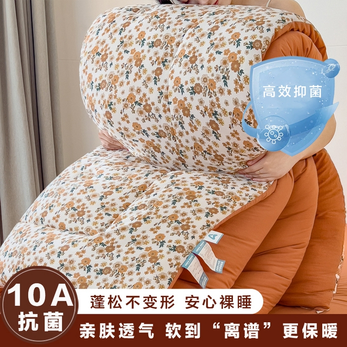 91家纺网 家纺一手货源 找家纺 宝士康家纺 2025新品10A抗菌双层纱冬被被子被芯 小雏菊