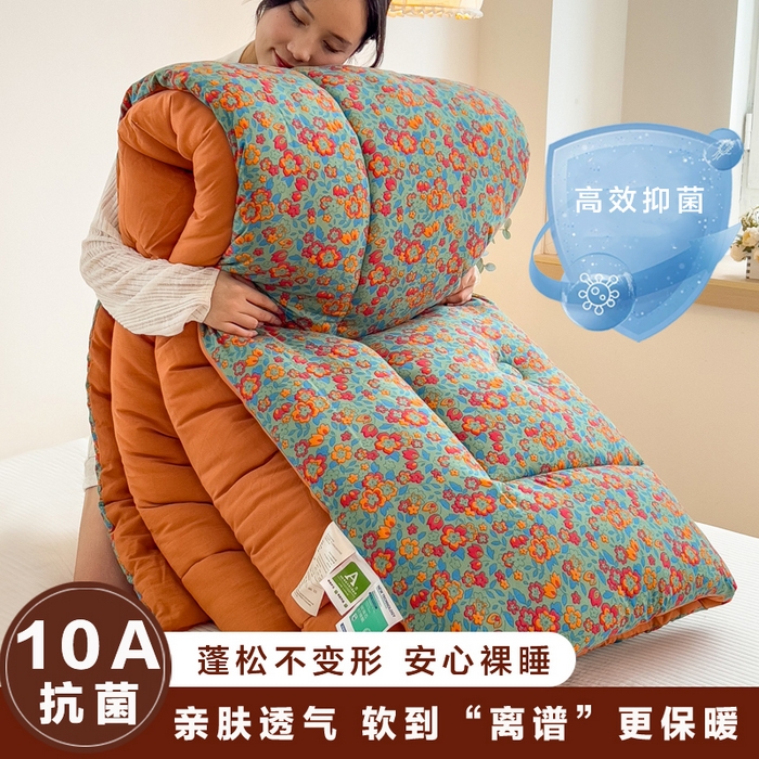 91家纺网 家纺一手货源 找家纺 宝士康家纺 2025新品10A抗菌双层纱冬被被子被芯 艾维