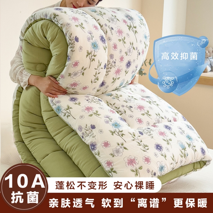 91家纺网 家纺一手货源 找家纺 宝士康家纺 2025新品10A抗菌双层纱冬被被子被芯 花韵