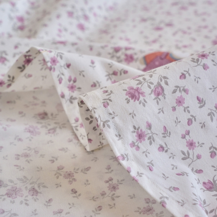 91家纺网 家纺一手货源 找家纺 春皖家纺 2025新款原棉磨毛单床单 床单单件-风格一旺财