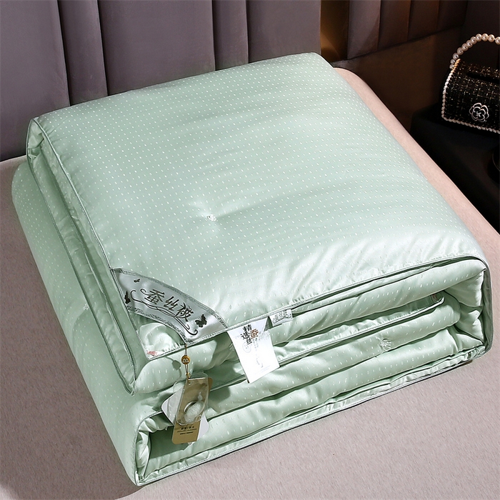 前程家纺 2025新款-珍珠提花被冬被蚕蛹蛋白被子冬被芯 珍珠提花-浅绿色