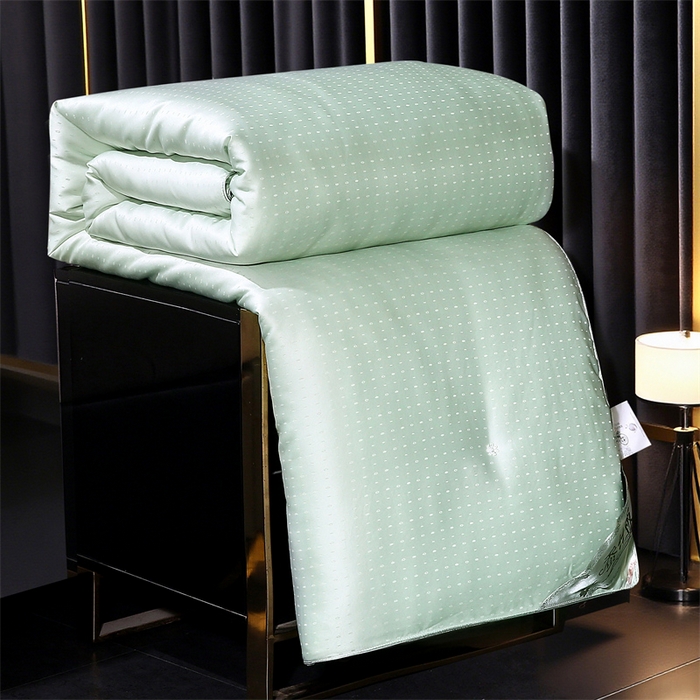 91家纺网 家纺一手货源 找家纺 前程家纺 2025新款-珍珠提花被冬被蚕蛹蛋白被子冬被芯 珍珠提花-浅绿色