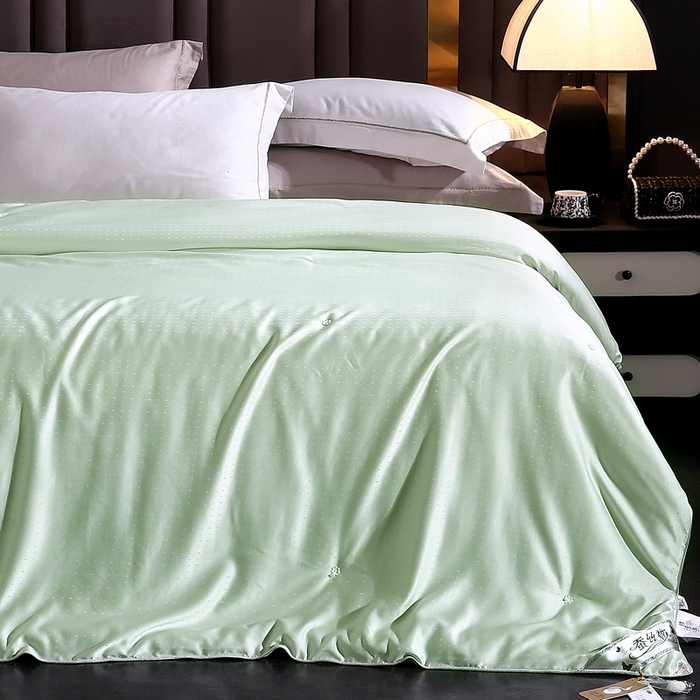 91家纺网 家纺一手货源 找家纺 前程家纺 2025新款-珍珠提花被冬被蚕蛹蛋白被子冬被芯 珍珠提花-浅绿色