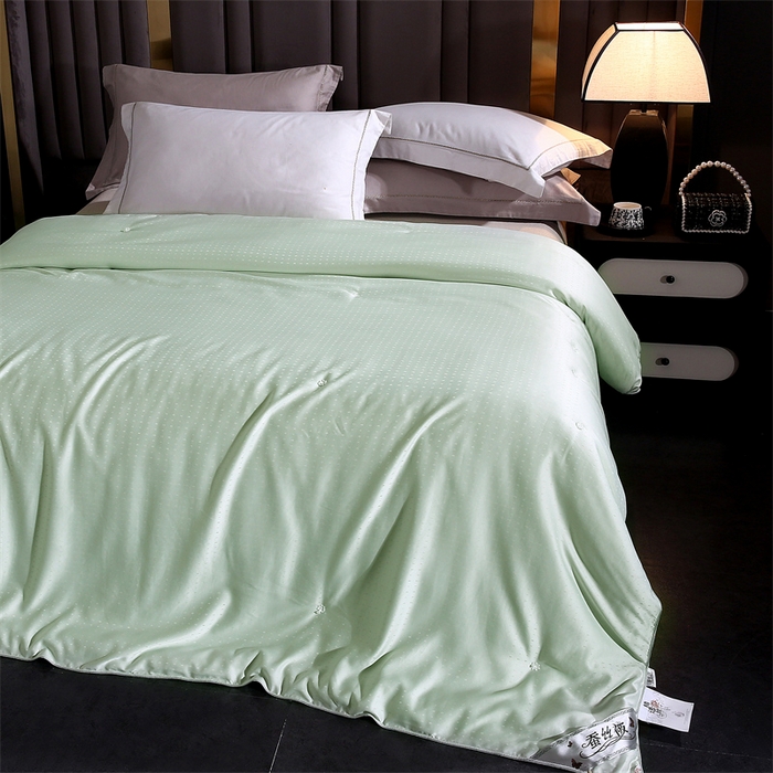 91家纺网 家纺一手货源 找家纺 前程家纺 2025新款-珍珠提花被冬被蚕蛹蛋白被子冬被芯 珍珠提花-浅绿色