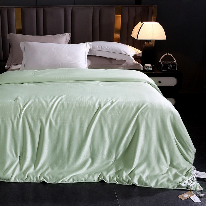 91家纺网 家纺一手货源 找家纺 前程家纺 2025新款-珍珠提花被冬被蚕蛹蛋白被子冬被芯 珍珠提花-浅绿色