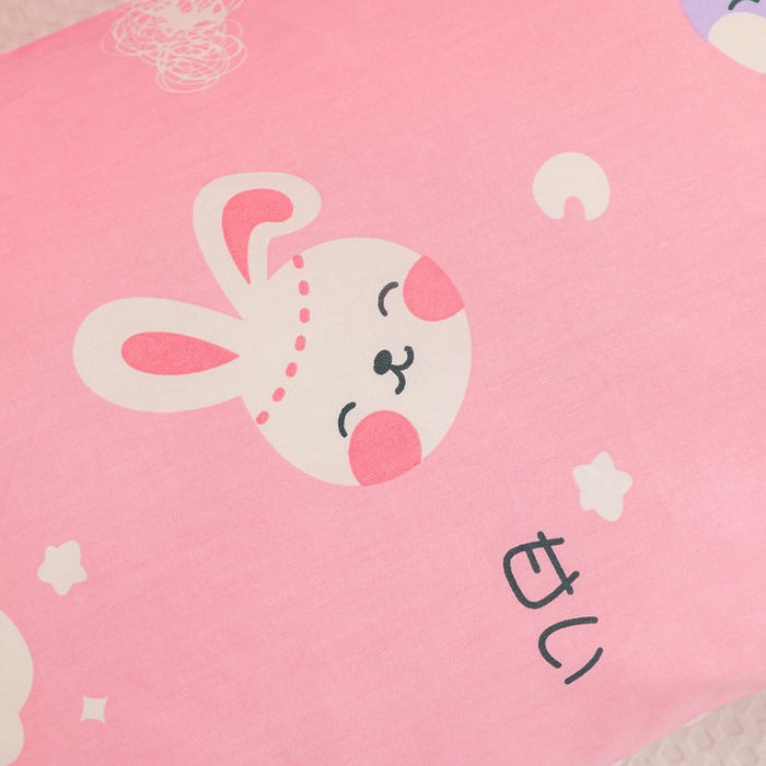 91家纺网 家纺一手货源 找家纺 织布人 2025新款枕芯A类全棉卡通豆豆枕双面可用儿童学生枕套+枕芯可拆洗 A类多趣兔宝