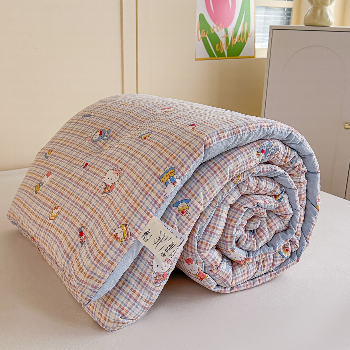 佳鸿家纺 2025新款云感双层纱冬被软糯云朵棉春秋被被子加厚被芯 彩格kt