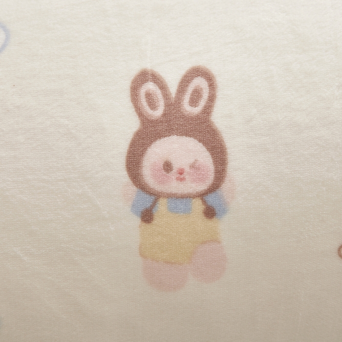 91家纺网 家纺一手货源 找家纺 翎盈家纺 2025新款冬季小清新牛奶绒双人枕套 草莓萌宝