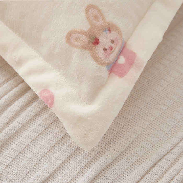 91家纺网 家纺一手货源 找家纺 翎盈家纺 2025新款冬季小清新牛奶绒双人枕套 草莓萌宝