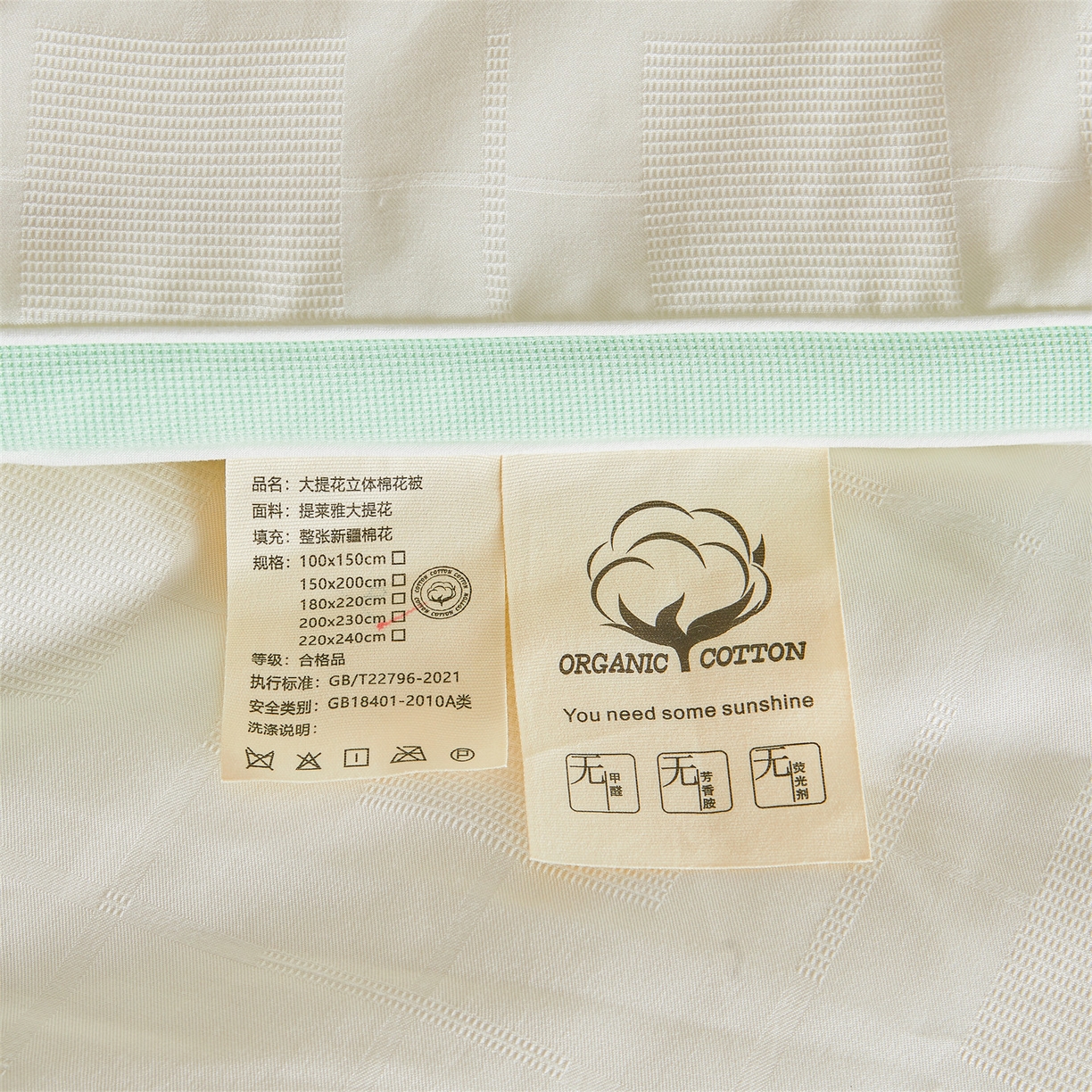 91家纺网 家纺一手货源 找家纺 梵蒂莎 2025新款提莱雅棉花被秋冬逸格被被子被芯-场景二 逸格-果绿