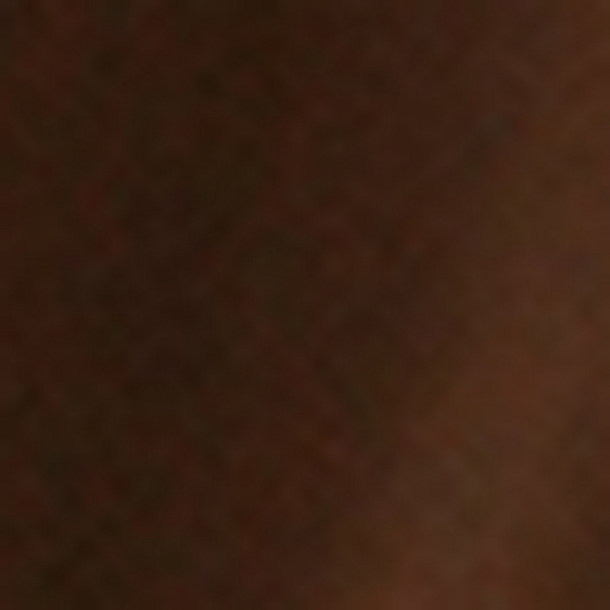 91家纺网 家纺一手货源 找家纺 禾时 2025新款A类全棉贡缎磨毛纯色四件套（礼盒包装）-风格1 桦茶