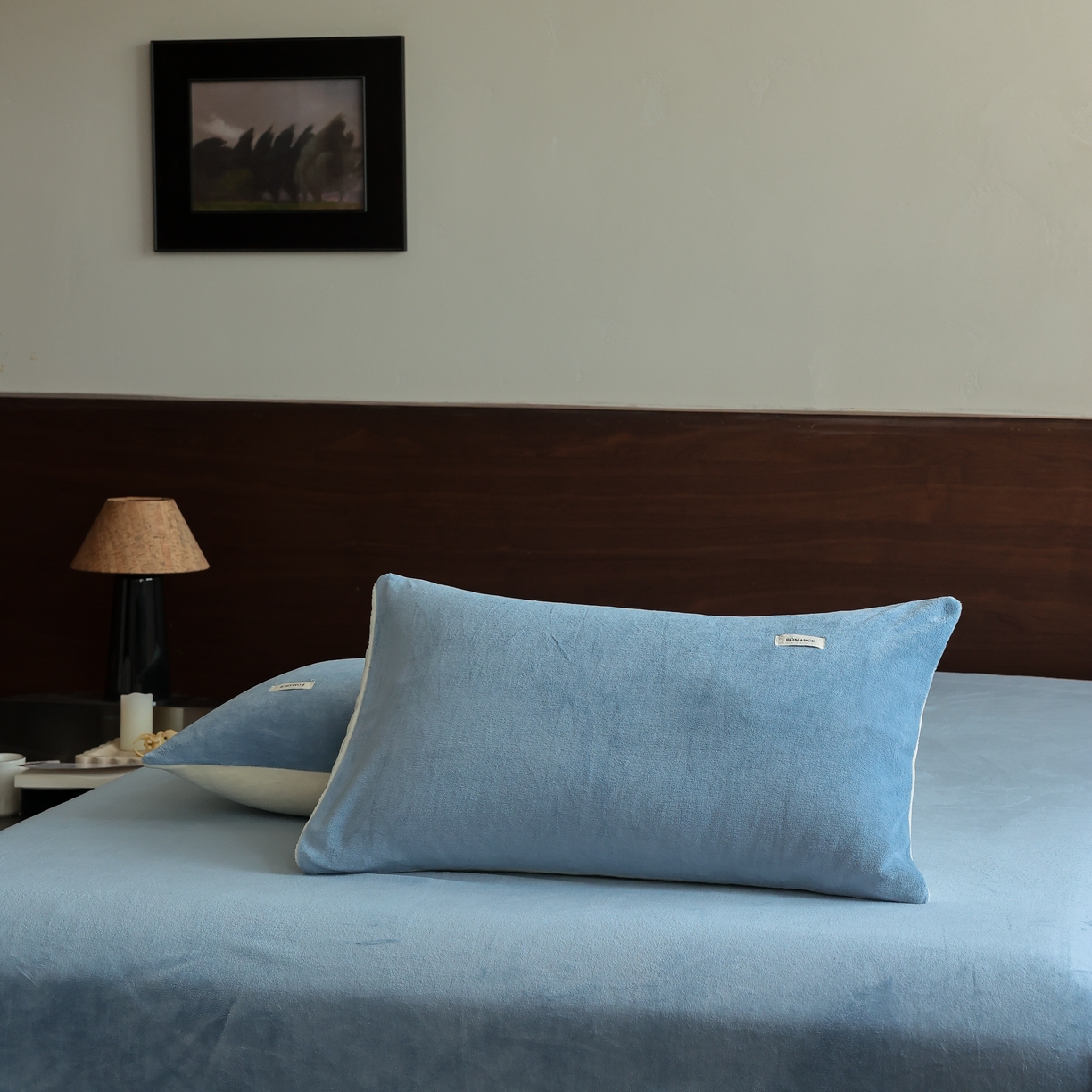 91家纺网 家纺一手货源 找家纺 （总）时光里 2025新款230克纯色简约双拼牛奶绒四件套单品枕套