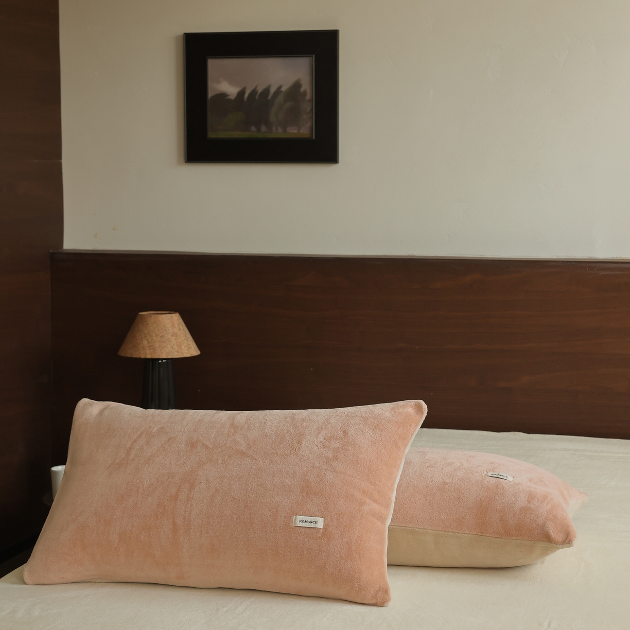 91家纺网 家纺一手货源 找家纺 （总）时光里 2025新款230克纯色简约双拼牛奶绒四件套单品枕套