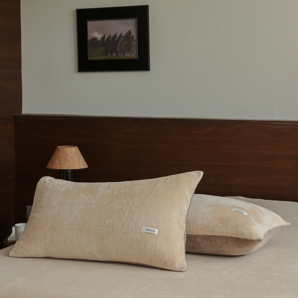 91家纺网 家纺一手货源 找家纺 （总）时光里 2025新款230克纯色简约双拼牛奶绒四件套单品枕套