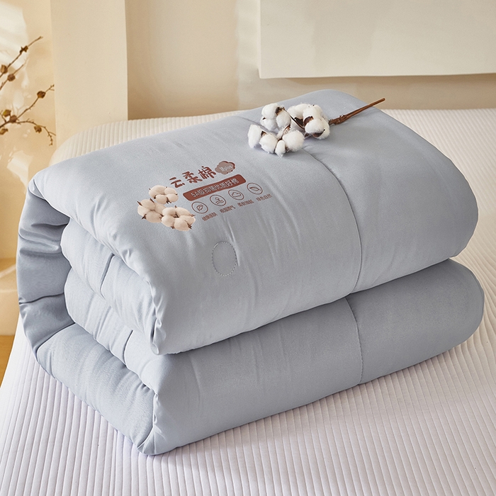 中国龙家纺 2025新款亲肤水洗棉棉花被被子被芯 云眠-蓝