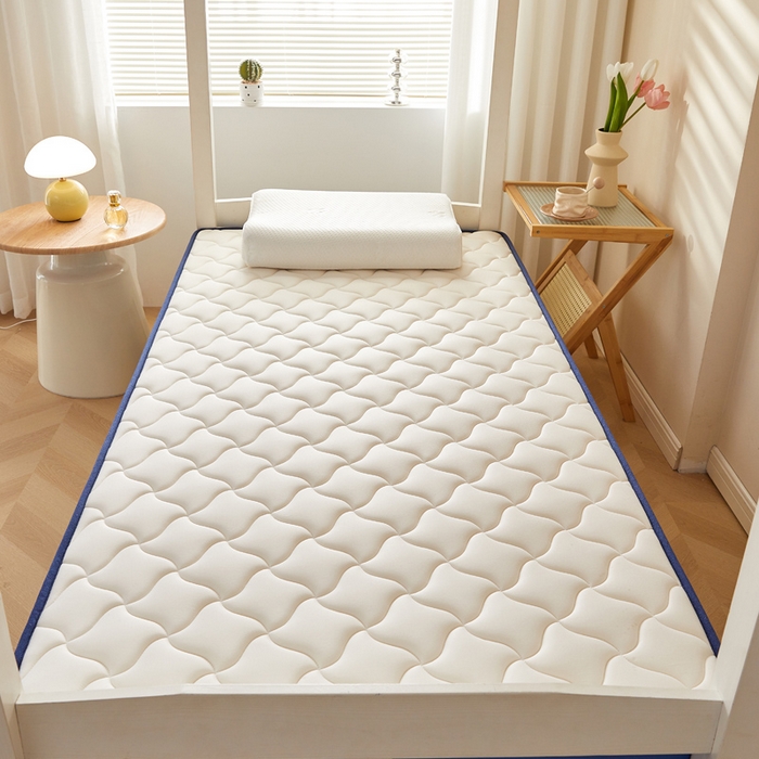 91家纺网 家纺一手货源 找家纺 （总）鹿辉家居（原吉欧力） 2025新款牛奶丝记忆棉床垫-学生款