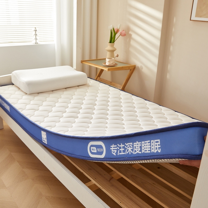 91家纺网 家纺一手货源 找家纺 鹿辉家居（原吉欧力） 2025新款牛奶丝记忆棉床垫-学生款 舒适白