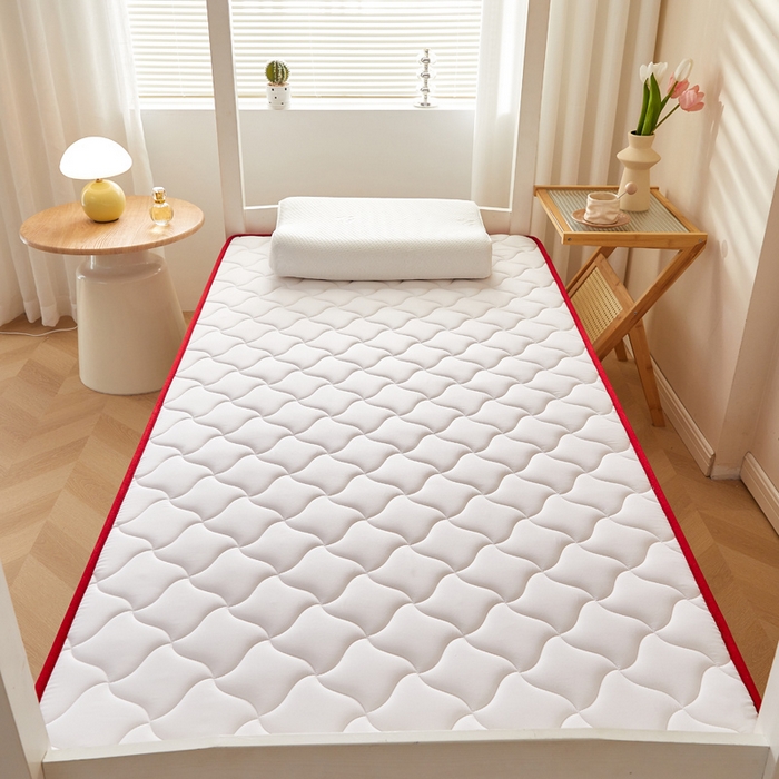 91家纺网 家纺一手货源 找家纺 鹿辉家居（原吉欧力） 2025新款牛奶丝记忆棉床垫-学生款 舒适红