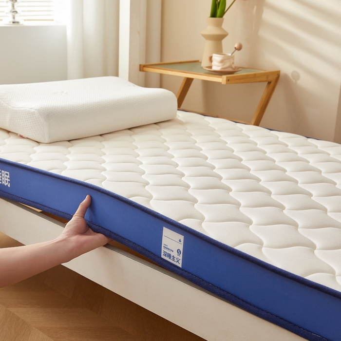 91家纺网 家纺一手货源 找家纺 鹿辉家居（原吉欧力） 2025新款牛奶丝记忆棉床垫-学生款 舒适白