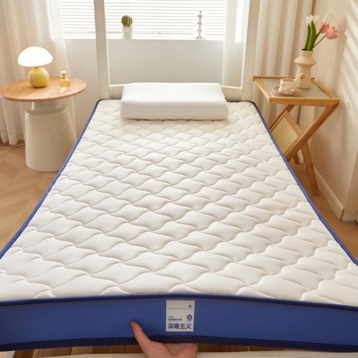 91家纺网 家纺一手货源 找家纺 鹿辉家居（原吉欧力） 2025新款牛奶丝记忆棉床垫-学生款 舒适白