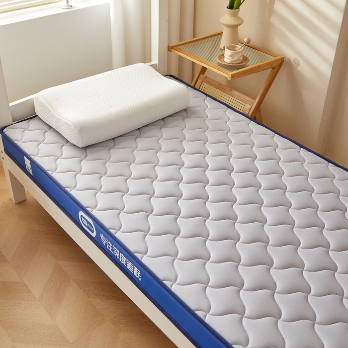 91家纺网 家纺一手货源 找家纺 鹿辉家居（原吉欧力） 2025新款牛奶丝记忆棉床垫-学生款 舒适灰