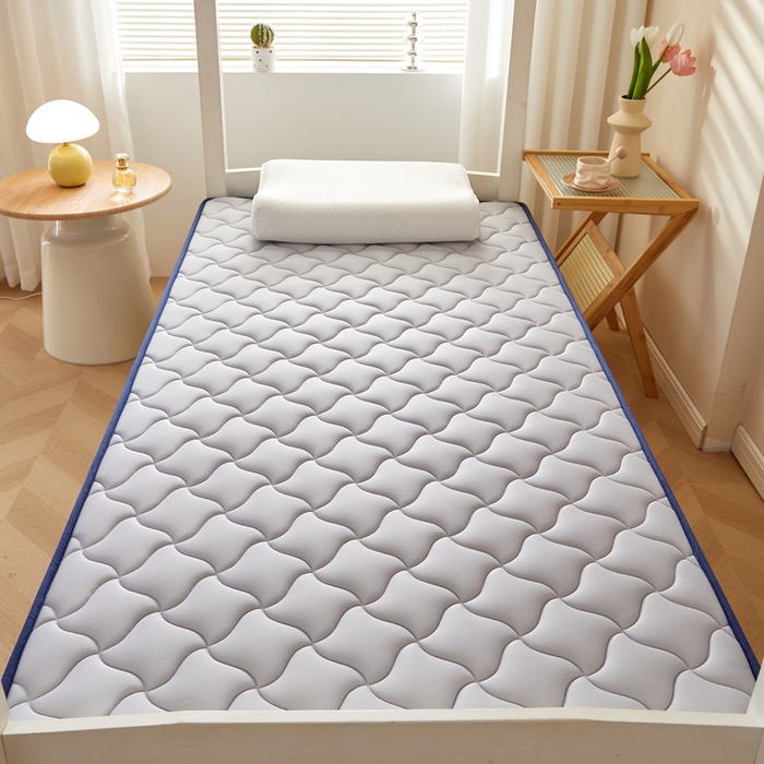 91家纺网 家纺一手货源 找家纺 鹿辉家居（原吉欧力） 2025新款牛奶丝记忆棉床垫-学生款 舒适灰