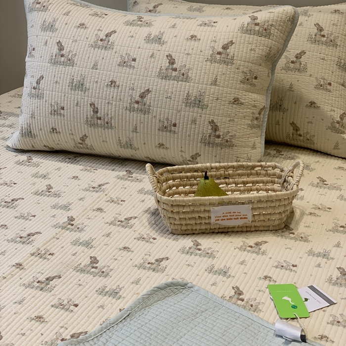 91家纺网 家纺一手货源 找家纺 汇庭 2025秋冬新款·全棉床盖三件套 故事兔庄园