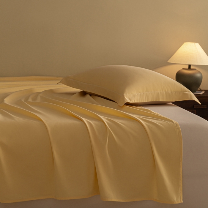 91家纺网 家纺一手货源 找家纺 （总）秀色家纺 2025冬季微绒感精梳全棉加厚碳素轻磨毛纯棉床单三件套被单单件Ａ类