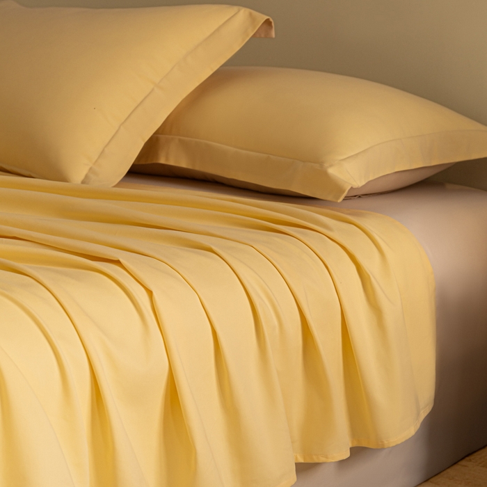 91家纺网 家纺一手货源 找家纺 （总）秀色家纺 2025冬季微绒感精梳全棉加厚碳素轻磨毛纯棉床单三件套被单单件Ａ类