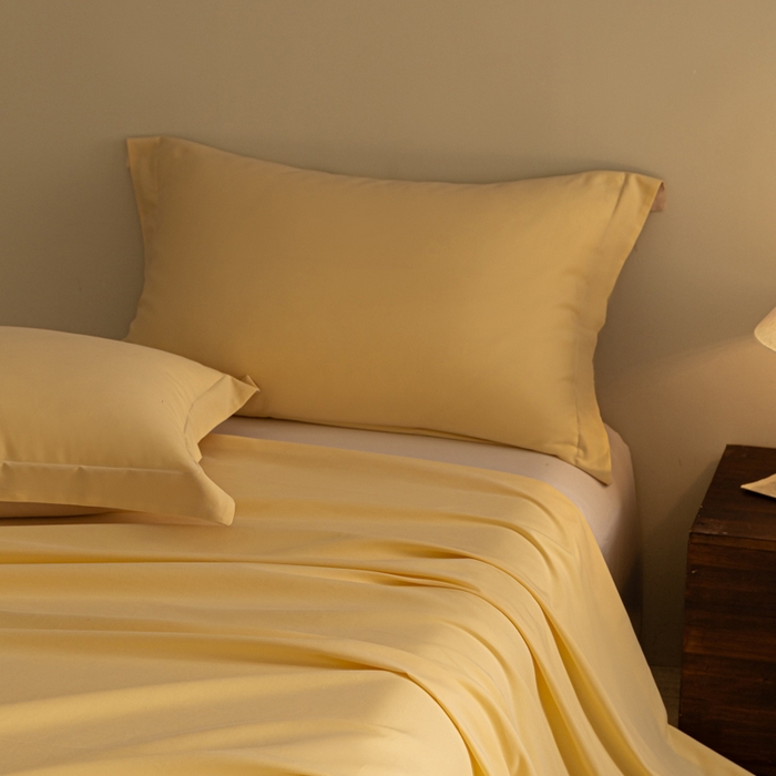 91家纺网 家纺一手货源 找家纺 （总）秀色家纺 2025冬季微绒感精梳全棉加厚碳素轻磨毛纯棉床单三件套被单单件Ａ类