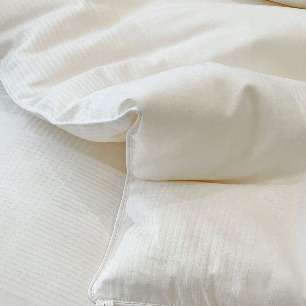 91家纺网 家纺一手货源 找家纺 （总）JUICY 橘滋家纺 2025新款全棉抗菌大豆四季被春秋被子被芯