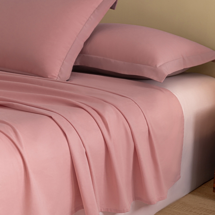 91家纺网 家纺一手货源 找家纺 秀色家纺 2025冬季微绒感精梳全棉加厚碳素轻磨毛纯棉床单三件套被单单件Ａ类 舒暖-肉桂粉