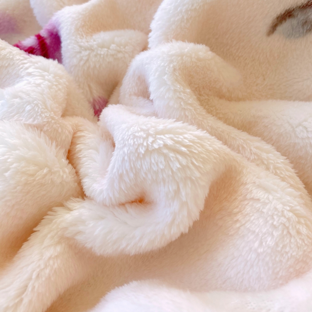 91家纺网 家纺一手货源 找家纺 yyds网供 2025新款简约印花泡泡绒毯多功能加绒盖毯沙发空调房办公午休毯毛毯毯子 玫瑰情缘-泡泡绒