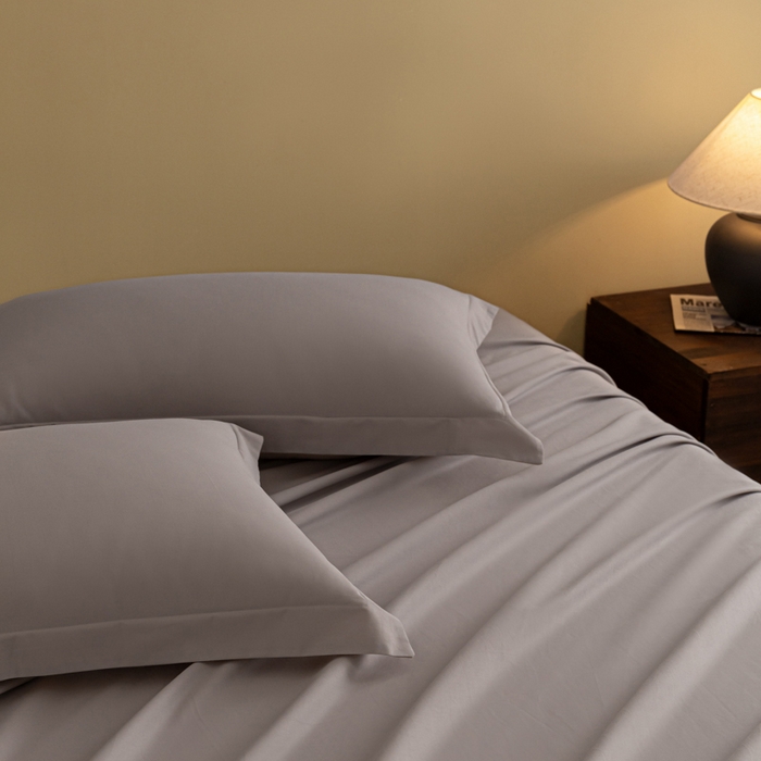 91家纺网 家纺一手货源 找家纺 秀色家纺 2025冬季微绒感精梳全棉加厚碳素轻磨毛纯棉床单三件套被单单件Ａ类 舒暖-珍珠灰