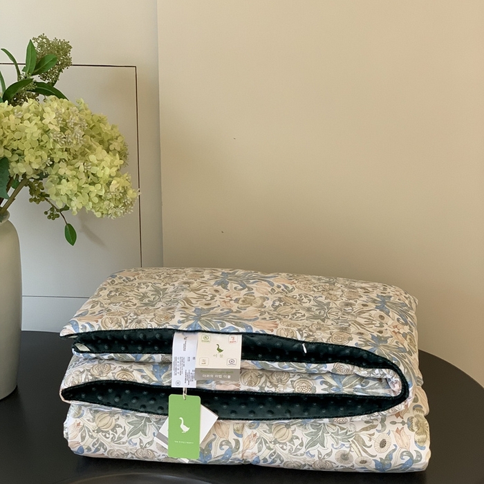 91家纺网 家纺一手货源 找家纺 汇庭 2025秋冬新款·幸运双豆春秋被系列 蔓德琳绿