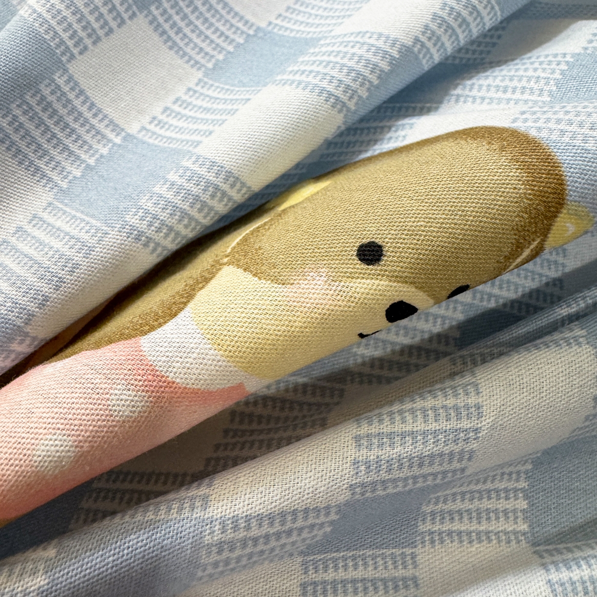 91家纺网 家纺一手货源 找家纺 简宜家居（朝初家纺） 2025新款全棉12868斜纹卡通花卉学生三件套四件套 蓝格欢乐