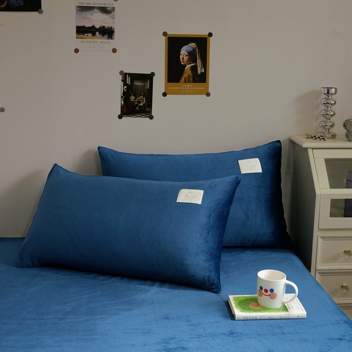 91家纺网 家纺一手货源 找家纺 （总）啊雅家居 2026新款寒冬克星双面绒牛奶绒简约四件套