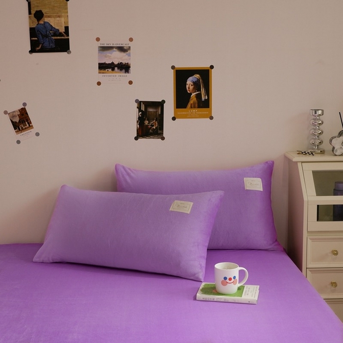 91家纺网 家纺一手货源 找家纺 啊雅家居 2026新款寒冬克星双面绒牛奶绒简约四件套 简紫