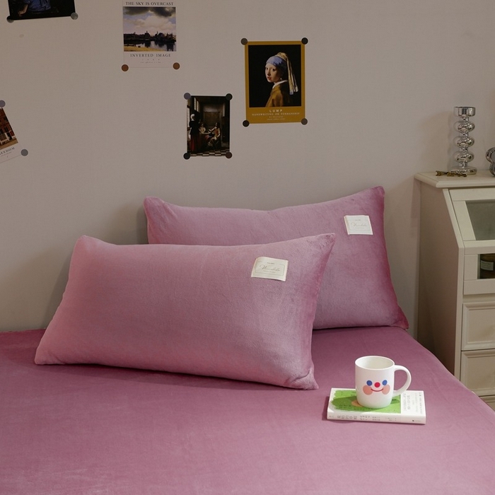 91家纺网 家纺一手货源 找家纺 啊雅家居 2026新款寒冬克星双面绒牛奶绒简约四件套 简豆沙