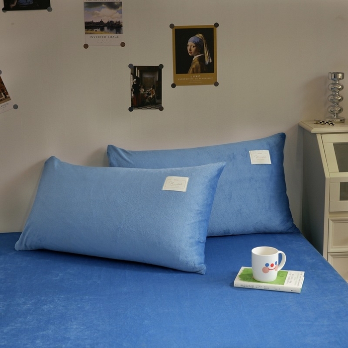 91家纺网 家纺一手货源 找家纺 啊雅家居 2026新款寒冬克星双面绒牛奶绒简约四件套 简蓝